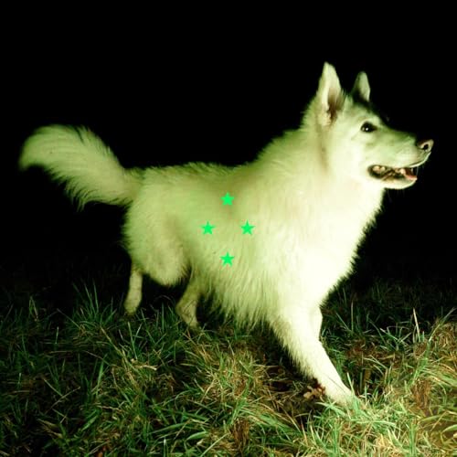 Real Farmer - Compare What☐s There [VINYL]