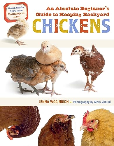 An Absolute Beginner's Guide to Keeping Backyard Chickens : Watch Chicks Grow from Hatchlings to Hens