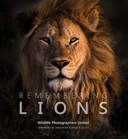 Remembering Lions (Remembering Wildlife): 4