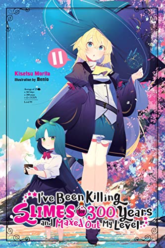 Ive Been Killing Slimes 300 Years Novel Sc Vol 11 (C: 0-1-2)