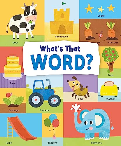 What's That Word?: 120 Wonderful Words (First Concepts)