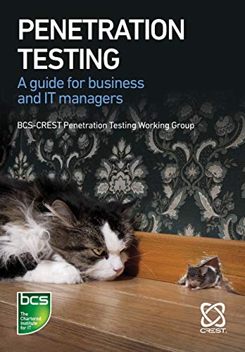 Book cover with title “Penetration Testing,” a cat, and a mousehole.