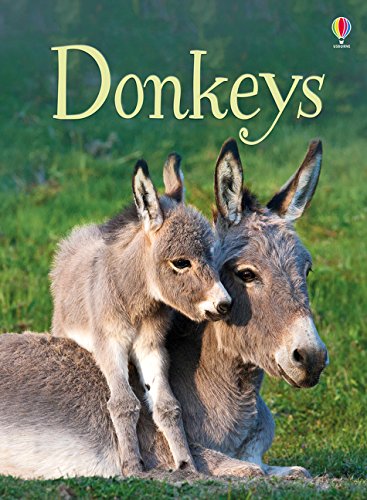 Donkeys (Beginners) (Beginners Series)