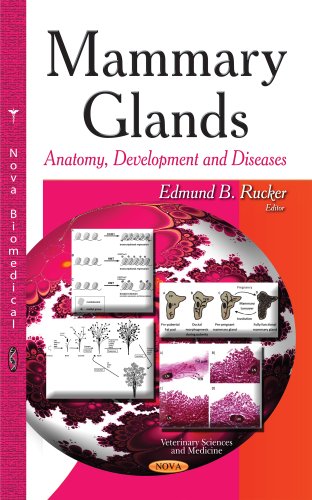 Mammary Glands : Anatomy, Development & Diseases