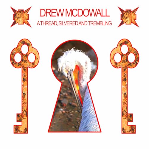 Drew Mcdowall - A Thread, Silvered And Trembling [VINYL]