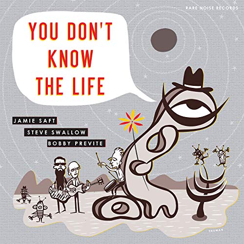 Jamie Saft, Steve Swallow, Bobby Previte - You Dont Know The Life [CD]