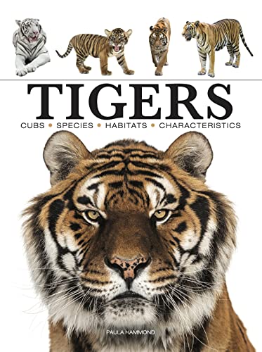 Tigers (Mini Encyclopedia) (Mini Animals)