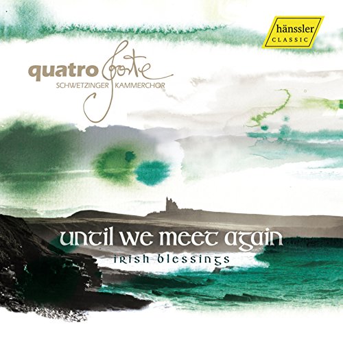 Various - Until We Meet Again [CD]