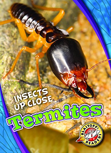 Termites (Insects Up Close)