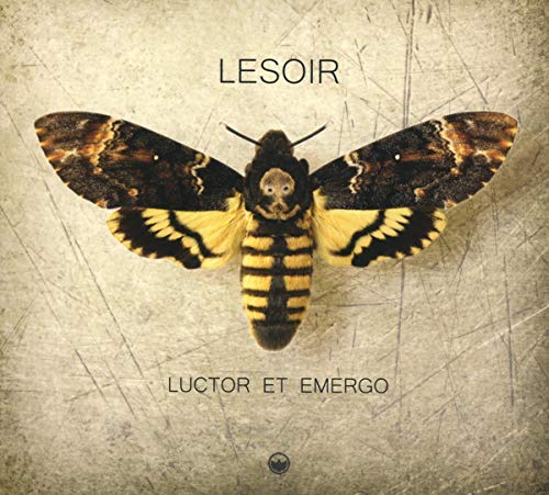 CD cover with a centered image of a yellow and black moth.