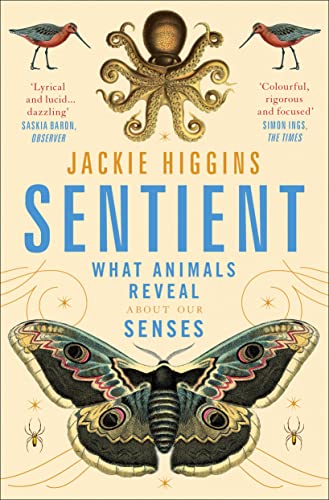 THE SENTIENT : JACKIE HIGGINS