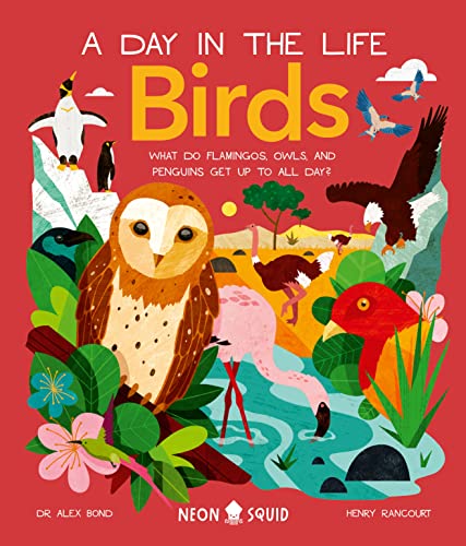 Birds (A Day in the Life) : What Do Flamingos, Owls, and Penguins Get Up To All Day?