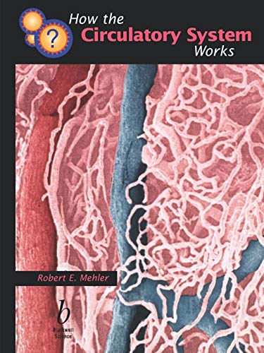 How the Circulatory System Works