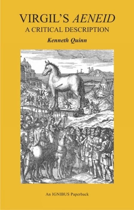 Virgil's Aeneid : A Critical Description