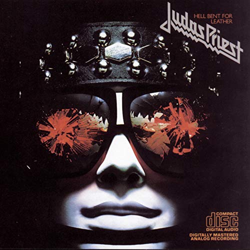 Close-up of a face wearing spiked sunglasses and a studded collar.