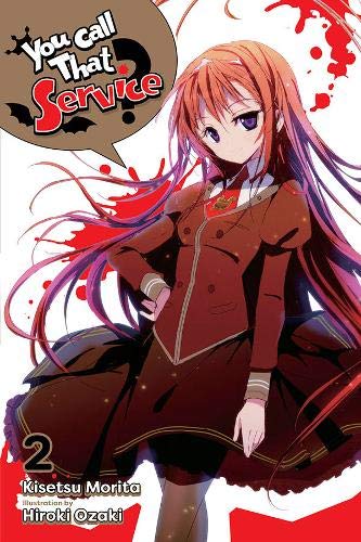 You Call That Service?, Vol. 2 (light novel) (You Call That Service? (Light Novel))