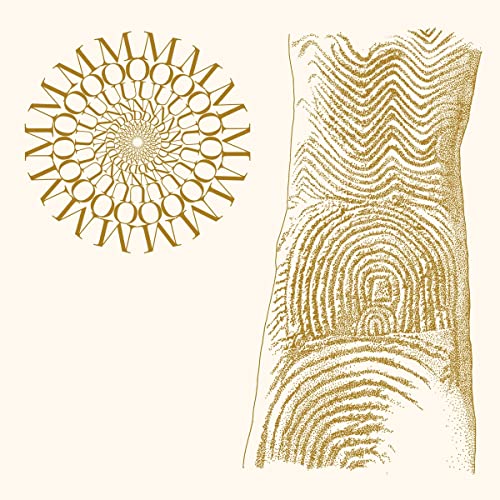 Moundabout - Flowers Rot, Bring Me Stones [VINYL]