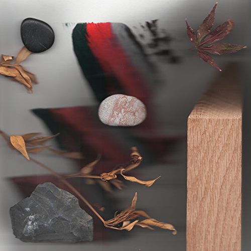 CD cover with natural objects: stones, leaves, wood, and feathers.