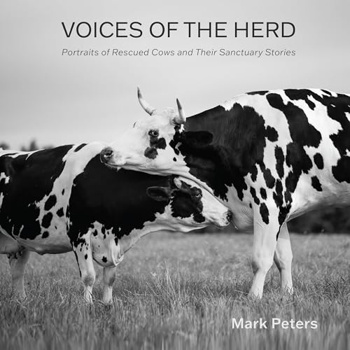 Voices of the Herd : Portraits of Rescued Cows and Their Sanctuary Stories