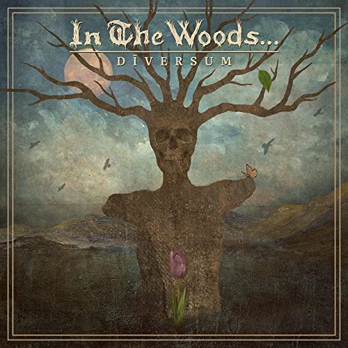 In The Woods - Diversum [VINYL]