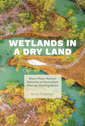 Book cover: aerial view of wetlands, title “Wetlands in a Dry Land.”
