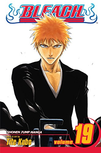 Bleach: v. 19 (Bleach) (Paperback)
