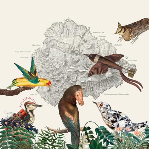 Various - The Birds Of Marsville [VINYL]