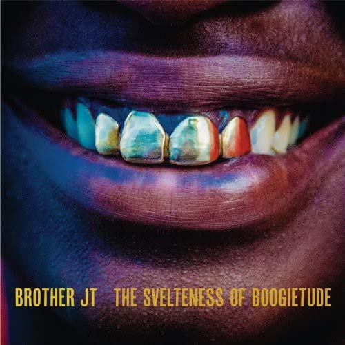 Various - The Svelteness Of Boogietude [VINYL]