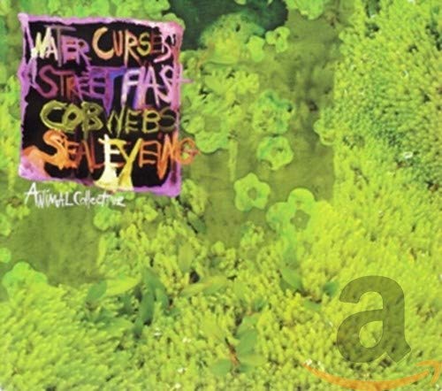 Animal Collective’s “Water Curses” CD cover with colorful, abstract foliage.