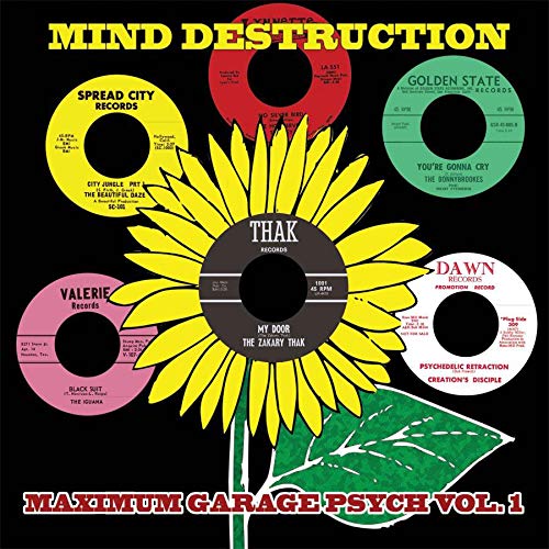 Various Artists - Mind Destruction- Maximum Garage Psych Vol 1 [VINYL]