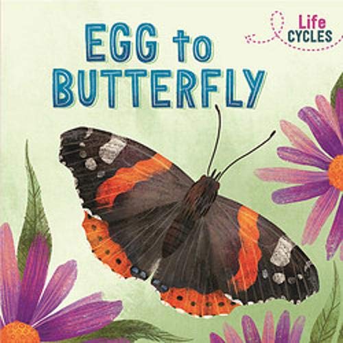 Egg to Butterfly (Life Cycles)