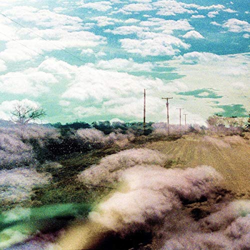 World Is A Beautiful Place & I Am No Longer Afraid To Die The - Always Foreign [VINYL]