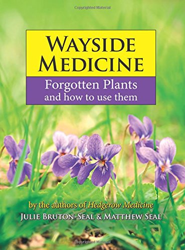 Wayside Medicine: Forgotten Plants to Make Your Own Herbal Remedies: Forgotten Plants and how to use them