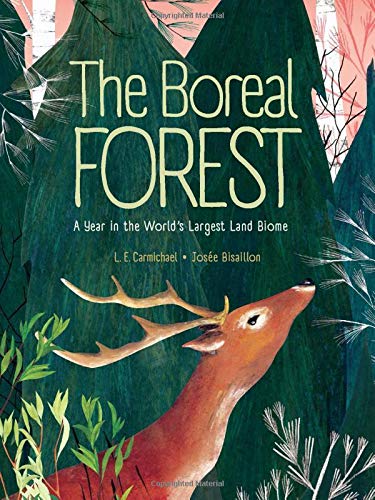 Boreal Forest, The