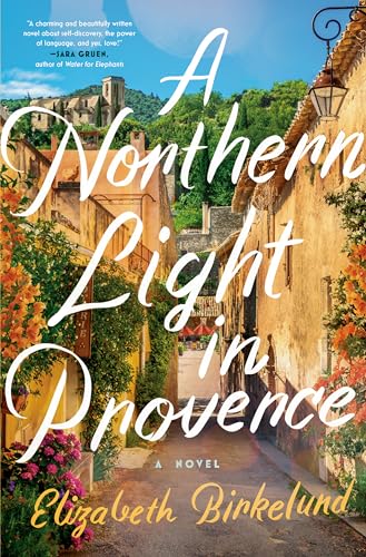 A Northern Light in Provence : A Novel