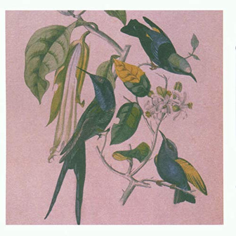 Susumu Yokota - Sakura [CD]