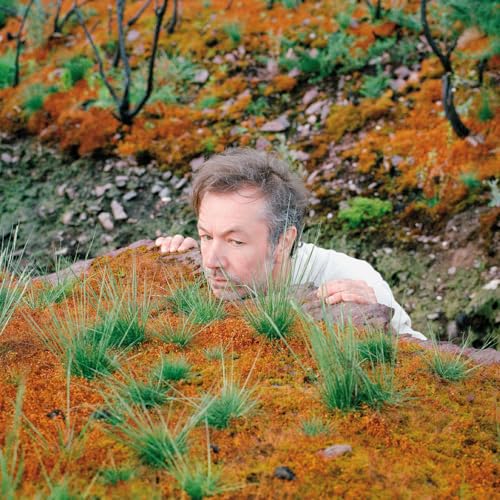 Various - The Mushroom Type [CD]