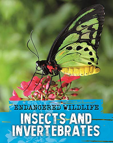 Endangered Wildlife: Rescuing Insects and Invertebrates