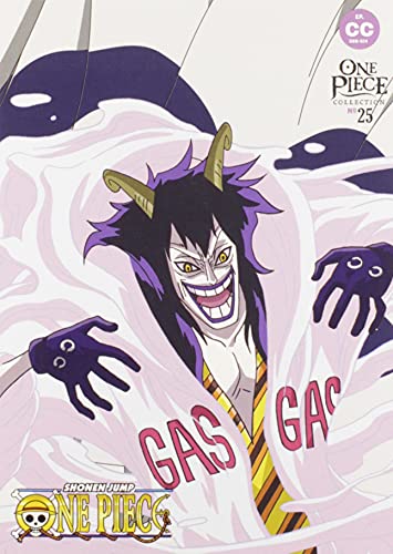 One Piece Collection 25 [DVD]