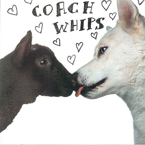 CD cover: two dogs nearly nose-to-nose, hearts scattered above.