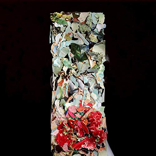 Foxtrott - A Taller Us  [VINYL]