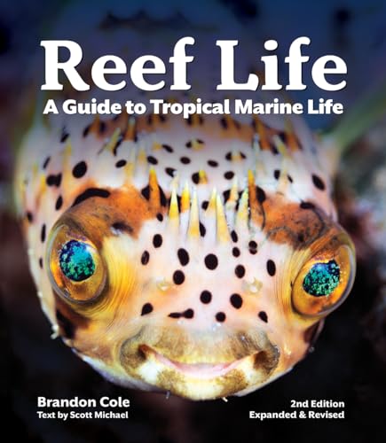 Reef Life : A Guide to Tropical Marine Life
