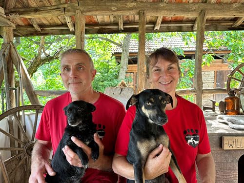 Street Hearts : An Extraordinary Story of Saving Street Dogs