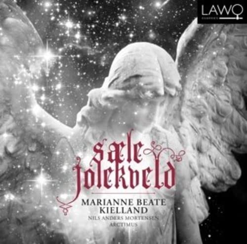 Various - Saele Jolerbeld [CD]