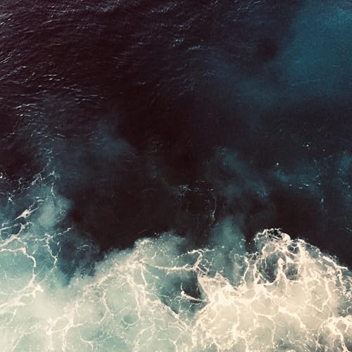 Various - Jorden VI Arvde [CD]