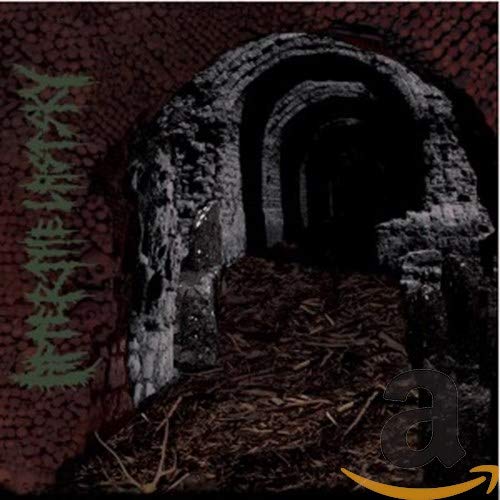 After The Last Sky - Theres No Light At The End Of... [CD]