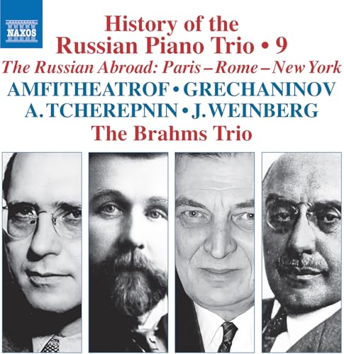 The Brahms Trio - History Russian Piano Trio 9 [CD]