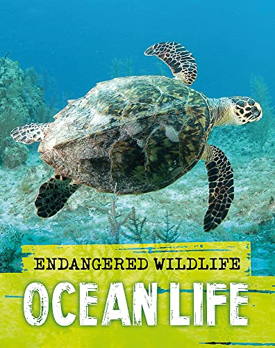 Endangered Wildlife: Rescuing Ocean Life