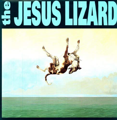 Jesus Lizard - Down (Deluxe Edition) [VINYL]