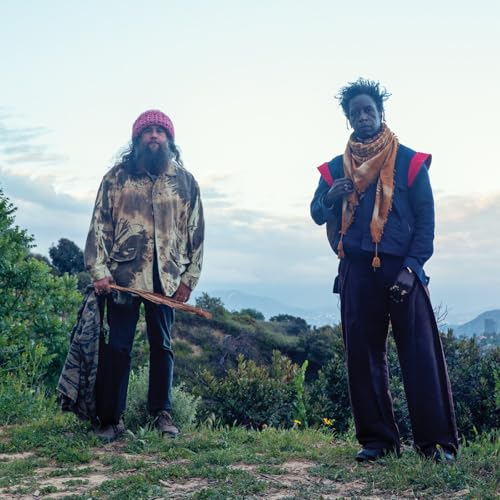 Saul Williams, Carlos Nino & Friends - Saul Williams, Carlos Nino & Friends At Treepeople [VINYL]